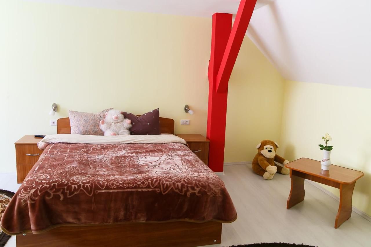 Отели типа «постель и завтрак» Casa Doboş Кристьян-24
