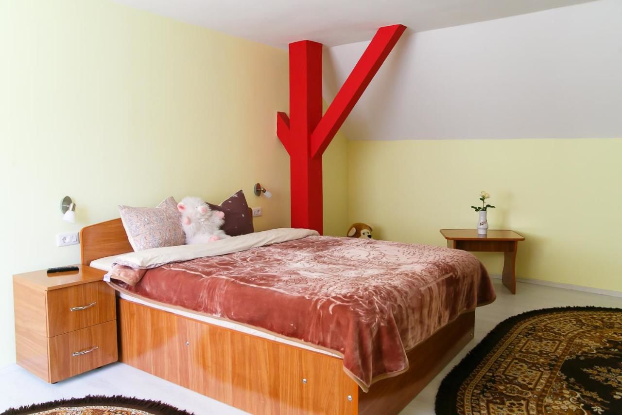 Отели типа «постель и завтрак» Casa Doboş Кристьян-25