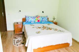 Отели типа «постель и завтрак» Casa Doboş Кристьян Двухместный номер эконом-класса с 1 кроватью-5